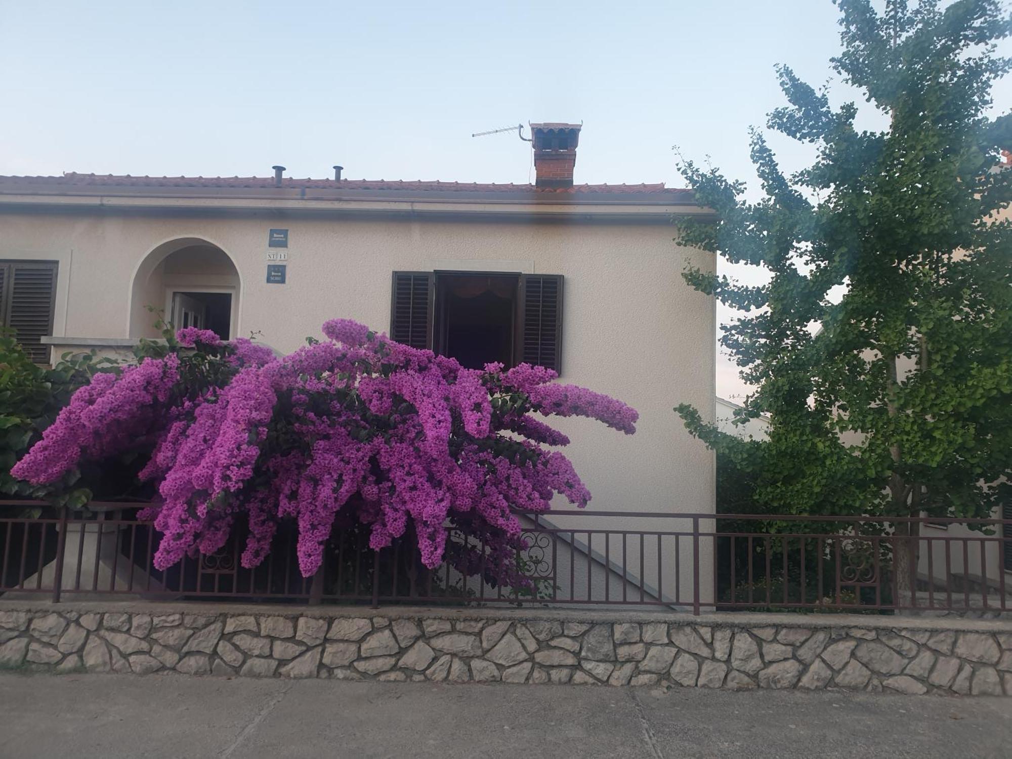Apartments Mara Mali Lošinj Exterior foto